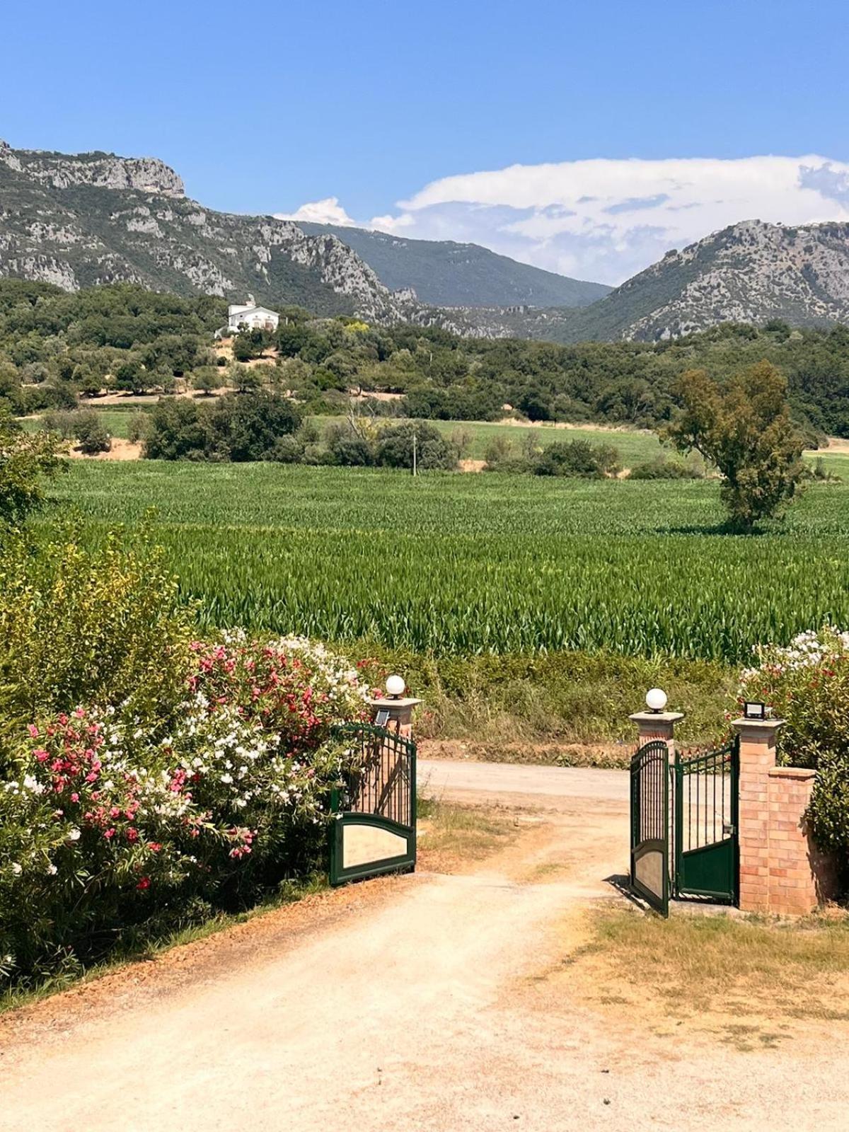 Villa Lia Cilento Capaccio Esterno foto